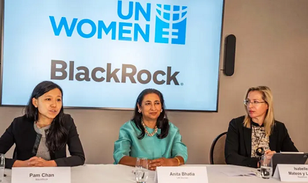 Femmes contre la capture d’entreprises à l`ONU
