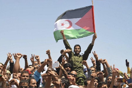 Sahara Occidental: Esta año de guerra